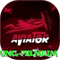 xx77 - Gaming Premium